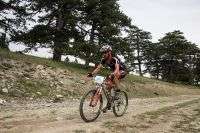 IMG_3162-copy