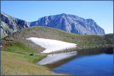 Vikos Ioanninon